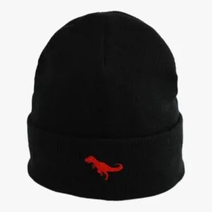 Bonnet Enfant Dinosaure Brodé